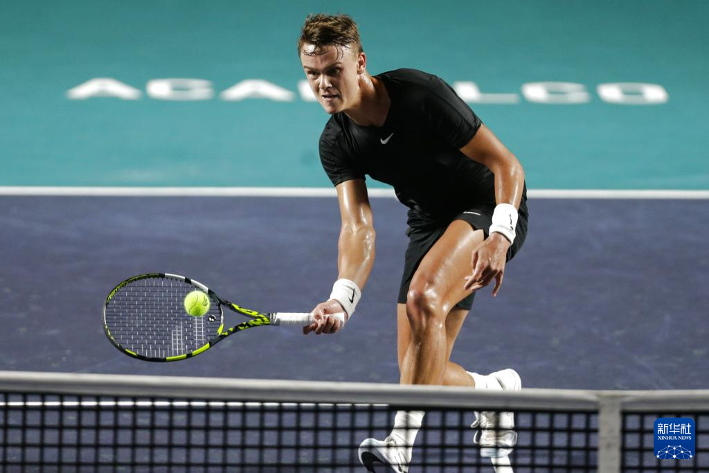 态和精湛的 态和精湛的